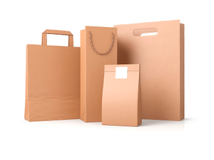 different types of handles of paper bags.jpg